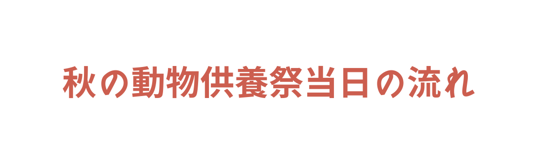 秋の動物供養祭当日の流れ